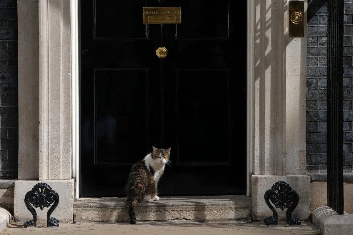 Larry the Cat Welcomes New UK Prime Minister Andy Burnham — Larry the cat, the UK's famous feline, prepares to greet his