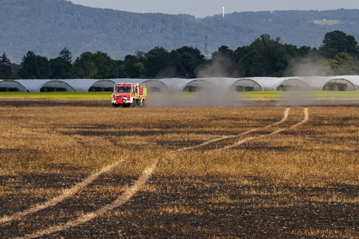 France Faces Potential Historic Drought as Corn Yields Plummet — After weeks of heat and drought, French farmers fear th