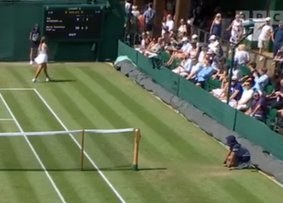 Ida Wobker Disqualified at Wimbledon Junior Tournament After Outburst — Ida Wobker, a 15-year-old German player, was dis