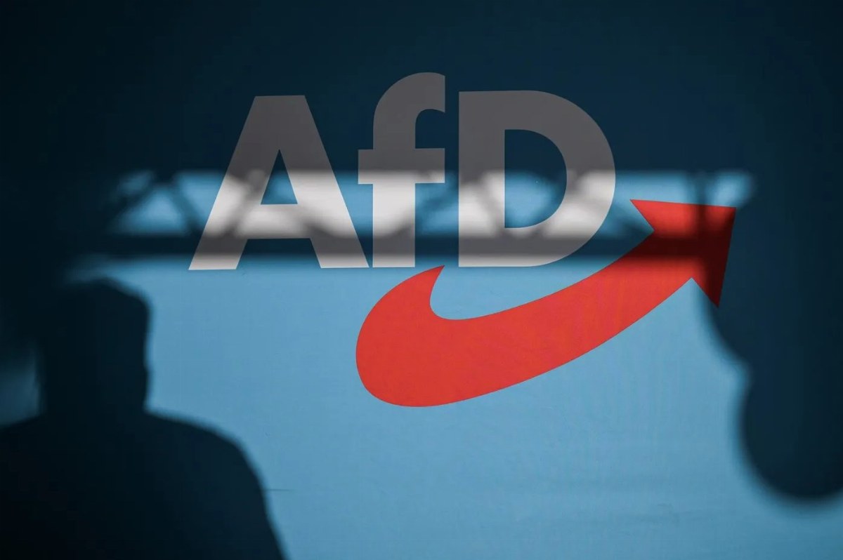 AfD Unveils Controversial 100-Day Plan Ahead of Saxony-Anhalt Elections — The AfD presents a 100-day action plan focusin