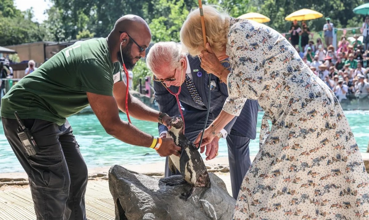 King Charles and Queen Camilla Enjoy Day at London Zoo Amid Heatwave — The royal couple engaged in animal care during th