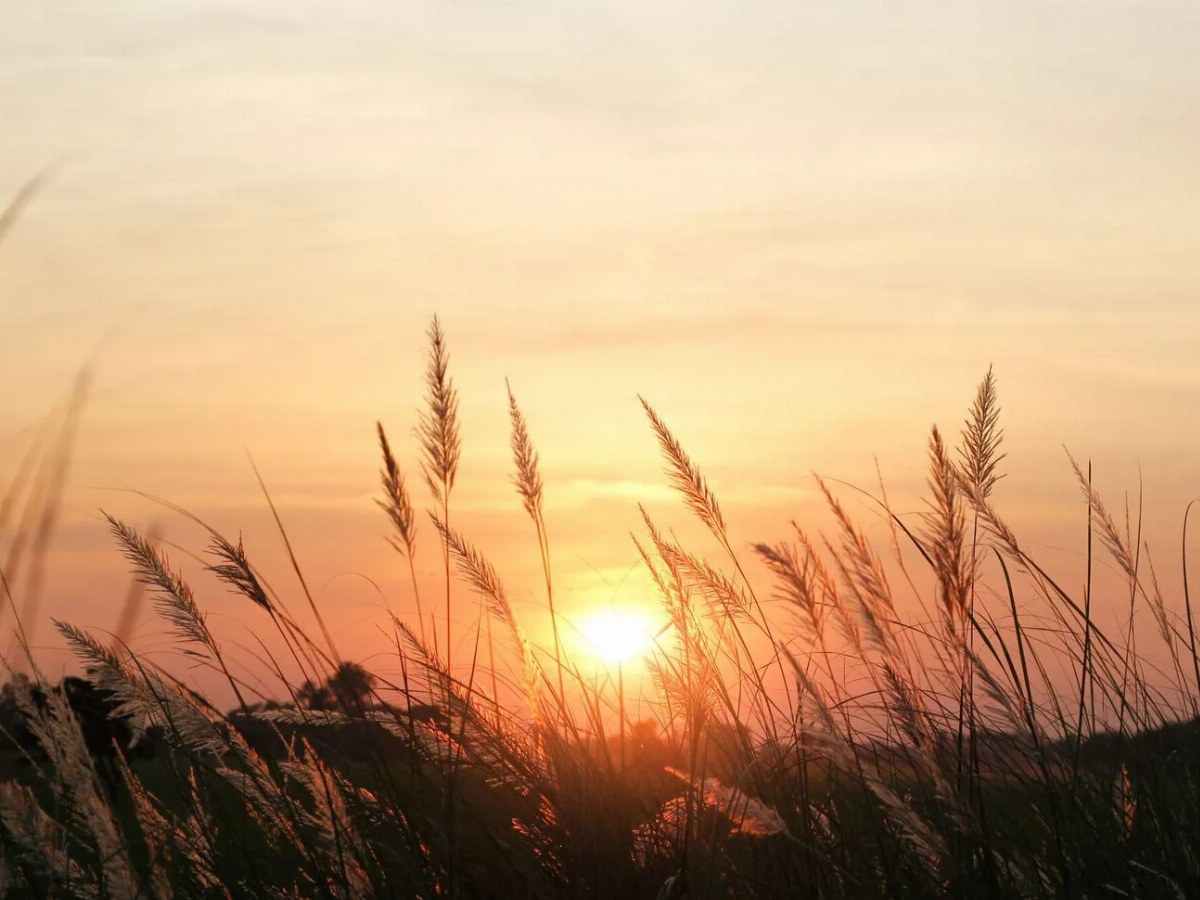 Weather Forecast: Sunny Days Ahead for Most of Ukraine — Most regions of Ukraine will experience sunny weather this week