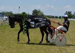 Scandal Erupts Over Derby Winner Vijelie Sti's Doping Control Refusal — The winner of Romania's prestigious Derby, Vijel
