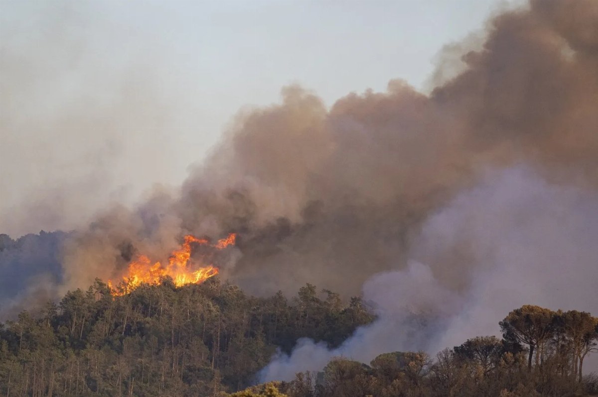 Man Arrested as Massive Wildfire Displaces 45,000 in Catalonia — A wildfire in northeast Spain prompts authorities to ad