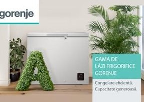 Gorenje's Smart Solutions for Efficient Food Freezing — Discover how Gorenje's innovative freezers enhance food storage