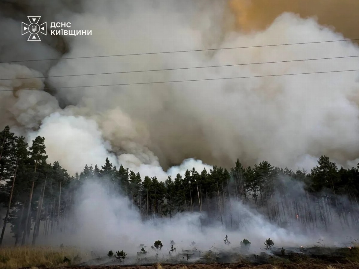 Massive Forest Fire Breaks Out Near Kyiv, Emergency Services Mobilized — A significant forest fire near Kyiv has mobiliz