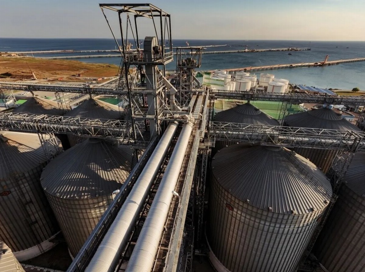 Ukrainian Strike Halts Operations at Major Russian Grain Terminals — Two significant grain terminals in Novorossiysk hav