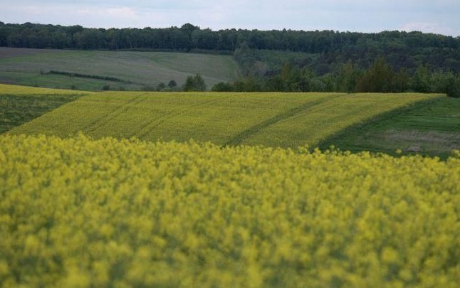 Ukrainian Economy Gains $400 Million from Increased Domestic Processing — Ukrainian economy adds $400 million through en