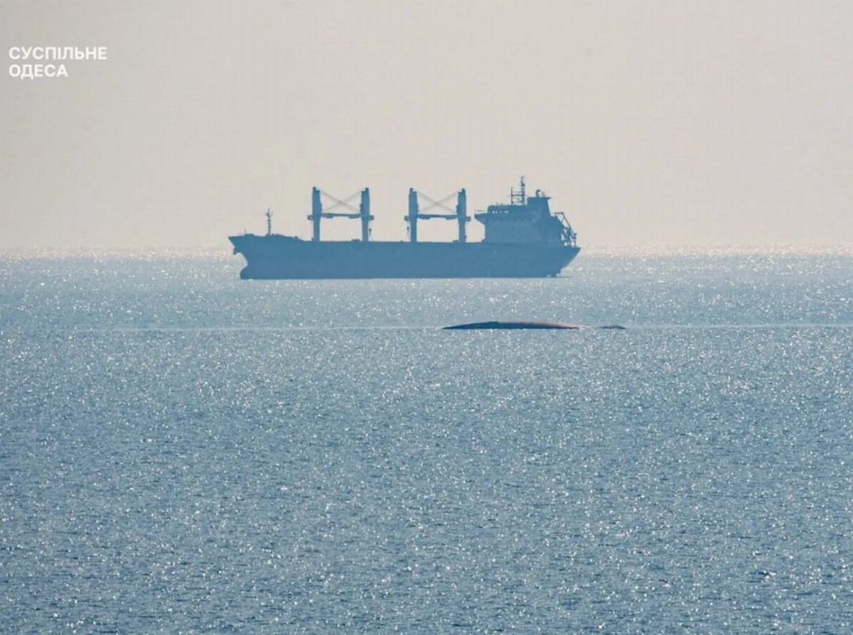 Russia Blocks 90% of Ukrainian Exports Amid Odesa Port Attacks — Since June 20, Russia has attacked 28 vessels in Odesa,