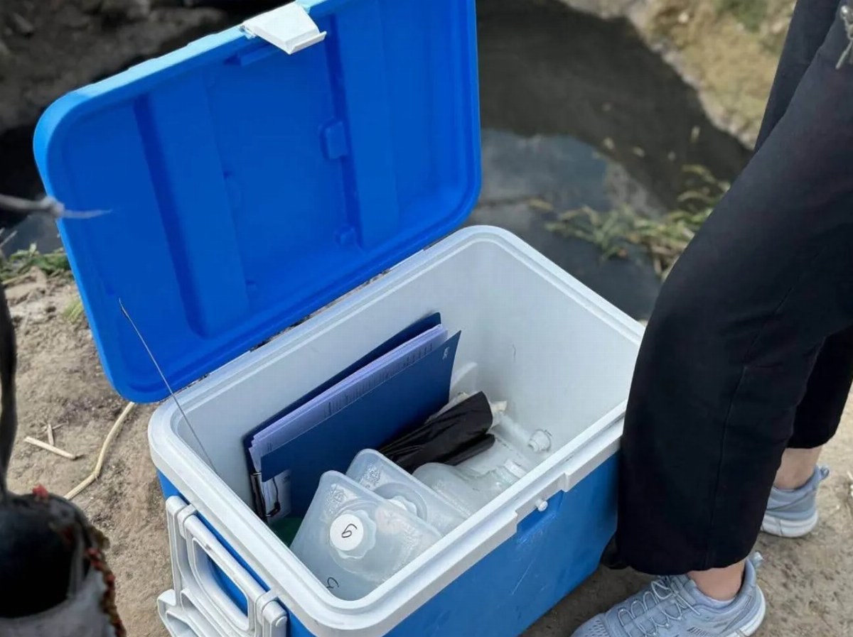 Pollution Found in Kyiv Water Bodies After Massive Fish Die-Off — Pollution detected in Kyiv waters where over 15,000 fi