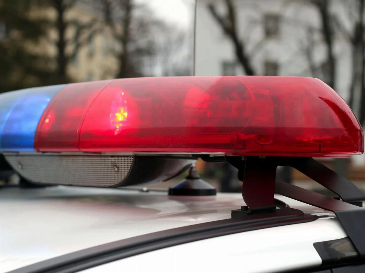 Police Investigate Assault on 11-Year-Old in Kyiv Region Over Flower Incident — An 11-year-old boy was reportedly assaul