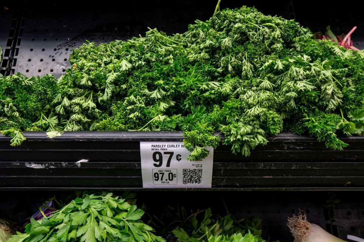 Outbreak of Cyclospora in the U.S. Linked to Two Deaths in Michigan — Two deaths in Michigan have been linked to a Cyclo