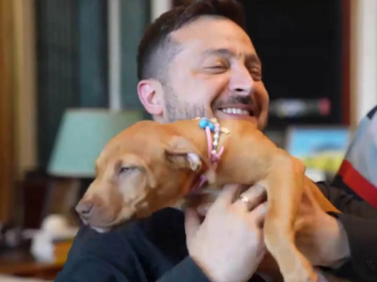 American Boxer Crawford Gifts Puppy Named Freya to Zelensky in Kyiv — Terence Crawford gifted a puppy named Freya to Pre
