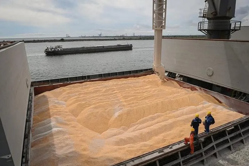 Black Sea Port Blockade Causes Desperation Among Ukrainian Farmers — Ukrainian farmer Serhii Rybalko faces a total disas
