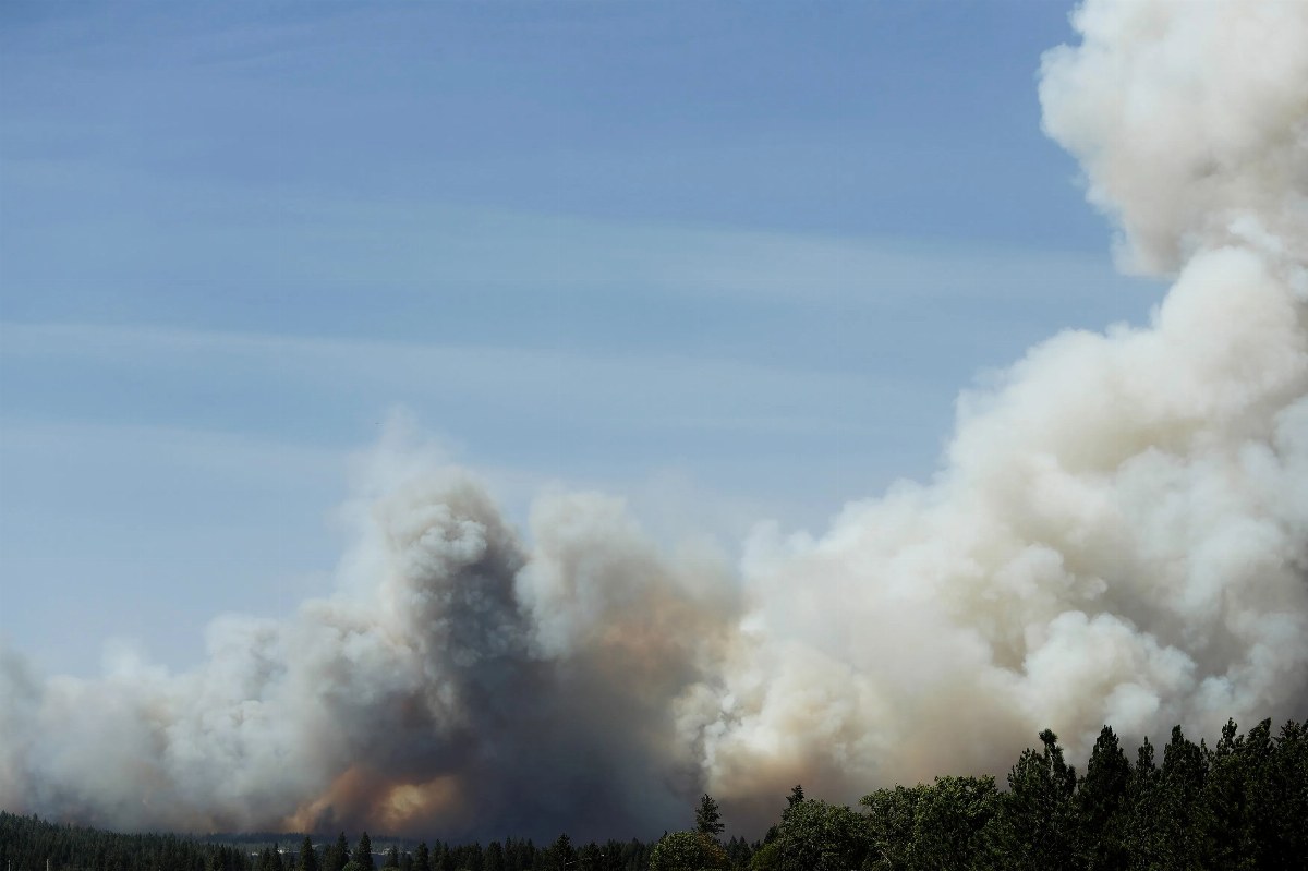 Wildfires Burn 100,000 Hectares in Washington, Evacuations Underway — Wildfires in Washington have scorched over 100,000
