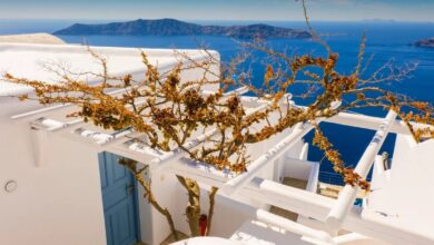 Record Summer for Greek Hotels as Average Nightly Rates Surge — Greece's hotels saw occupancy rates and nightly prices r