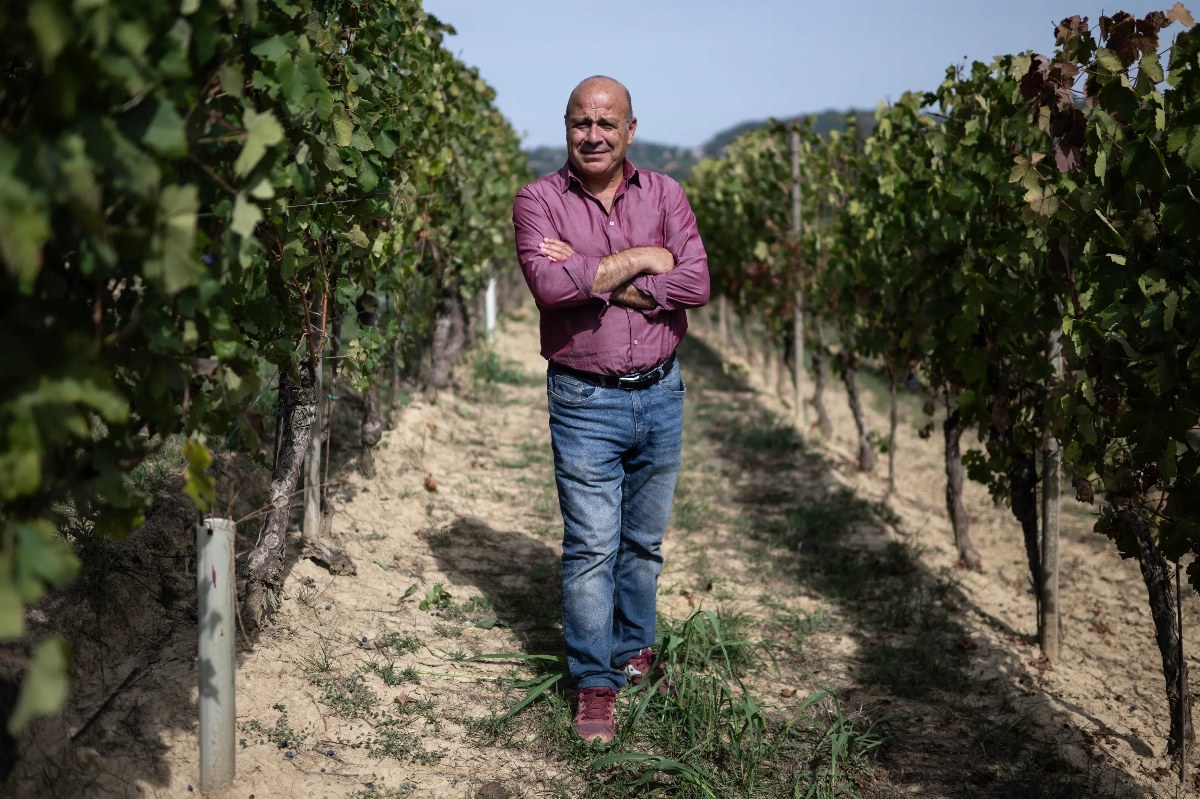 Italian Winemakers Celebrate Exceptional 2026 Harvest Amidst Oversupply Issues — Italy's 2026 wine harvest is marked as