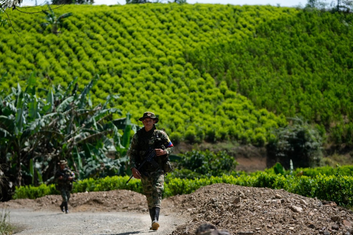 Colombian Judge Halts President's Coca Crop Spraying Plan — A Colombian judge suspended operations to spray coca fields