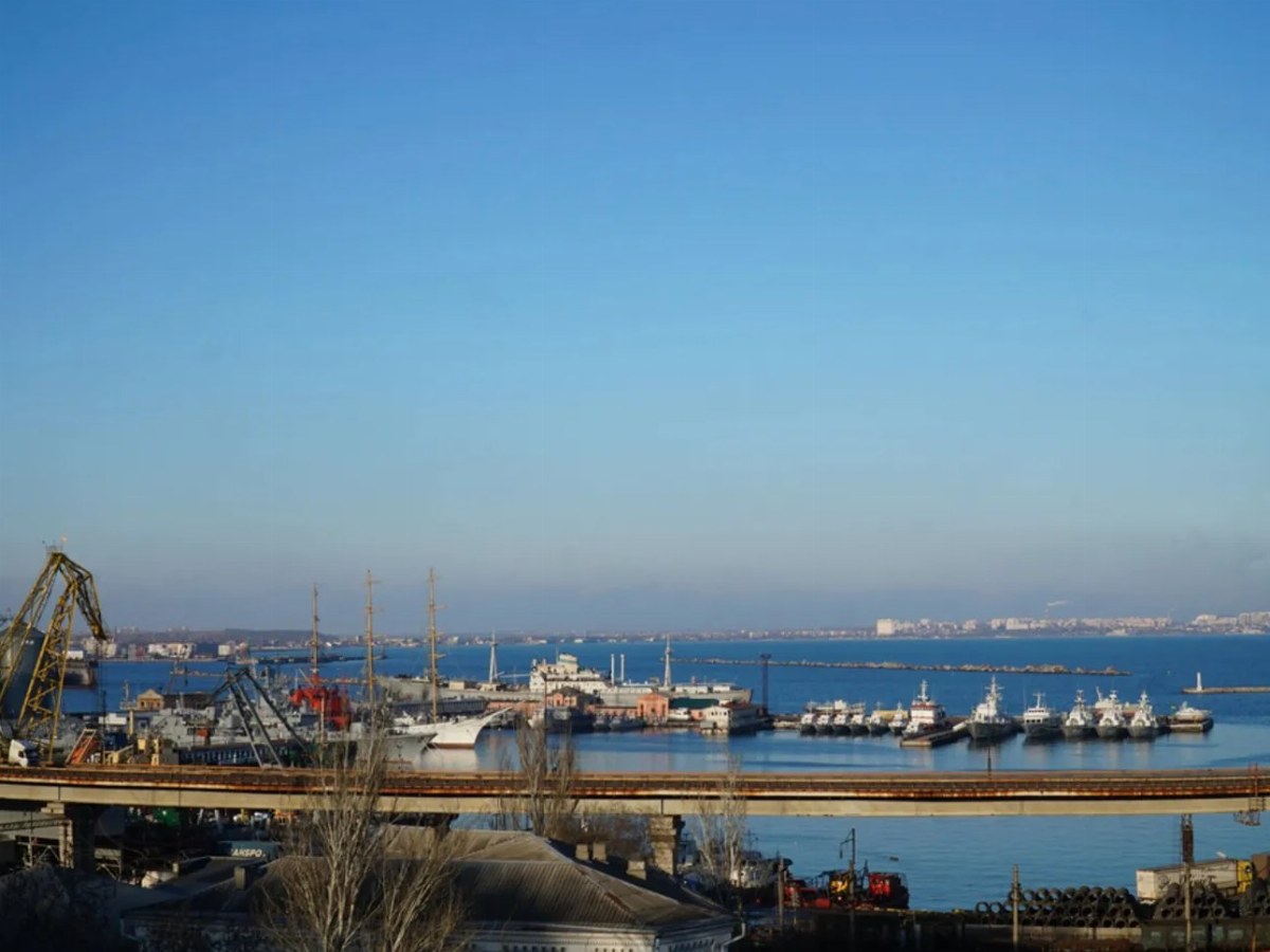 Expert Warns of Threat to Upcoming Planting Season Without Maritime Export Recovery — Expert highlights the critical nee
