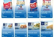 Rud' Faces Challenges Beyond Ice Cream: A Look at Their Diverse Product Range — Rud' not only produces ice cream but als