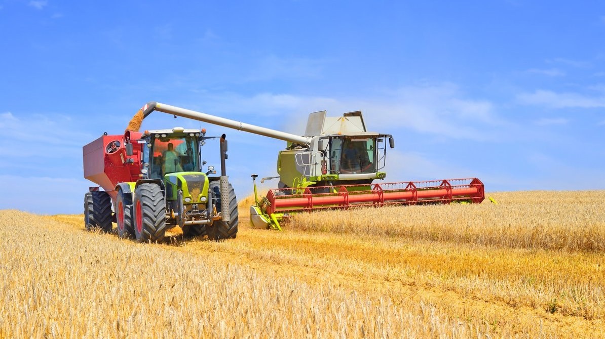 Disruptions in Grain Exports Due to Attacks on Ukrainian and Russian Ports — Recent strikes on ports in Odessa and Novor