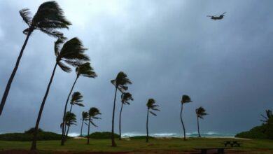 Hurricane Nolo Approaches Hawaii, Threatening Catastrophic Flooding — Hurricane Nolo is set to bring significant rainfal