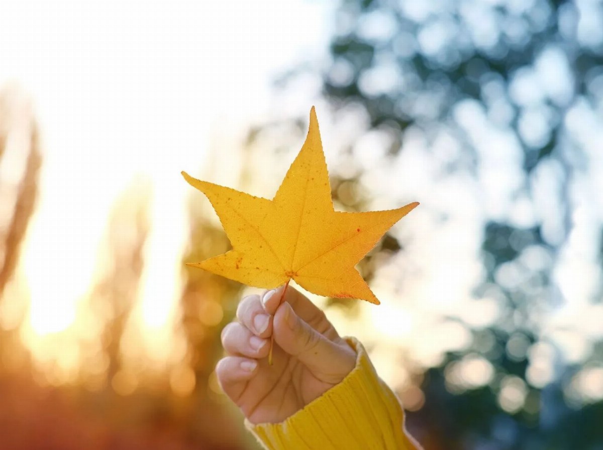 Weather Forecast for Ukraine: Clear and Sunny Weekend Ahead — Ukraine's weather this weekend will be shaped by the Borch