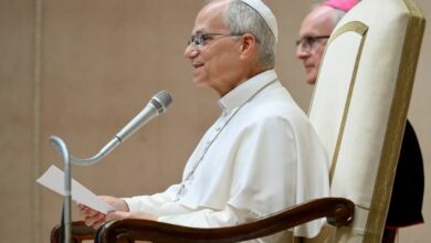 Pope Leon No Longer Requires Treatment After Lung Cancer Surgery — Pope Leon will not need further treatment following h