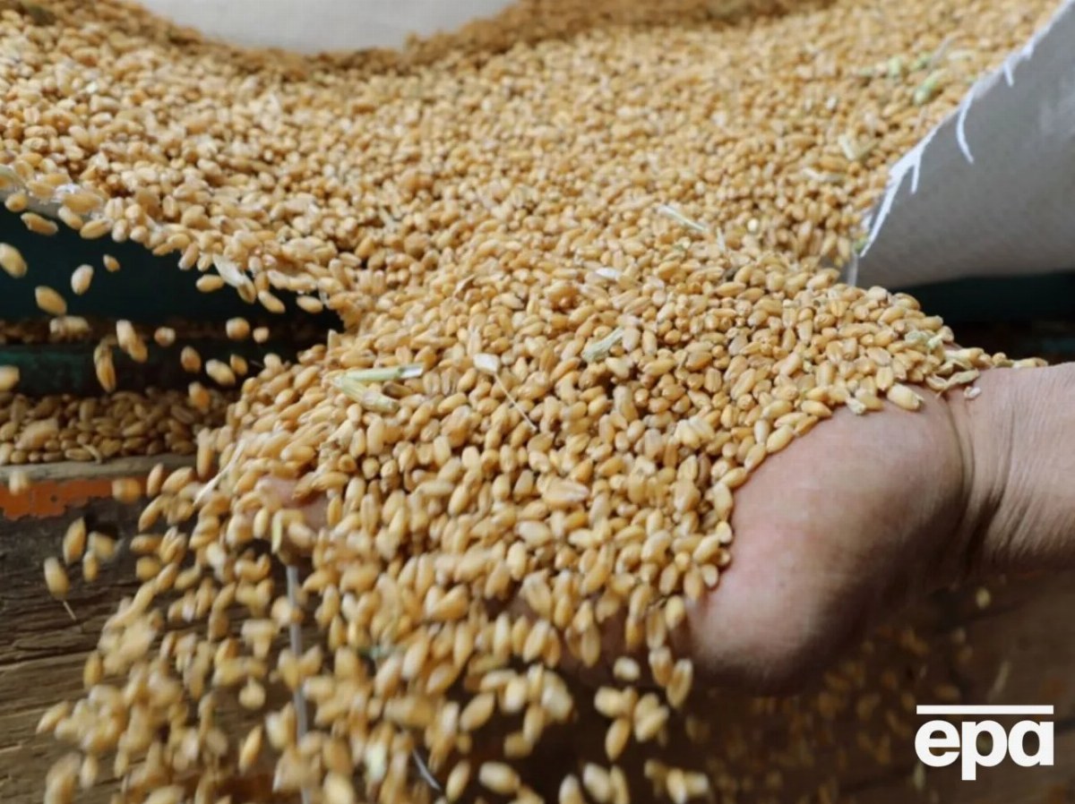 Russia Faces Grain Export Crisis Amid Ukrainian Attacks — Russian analysts predict a grain surplus of 34.8 million tons