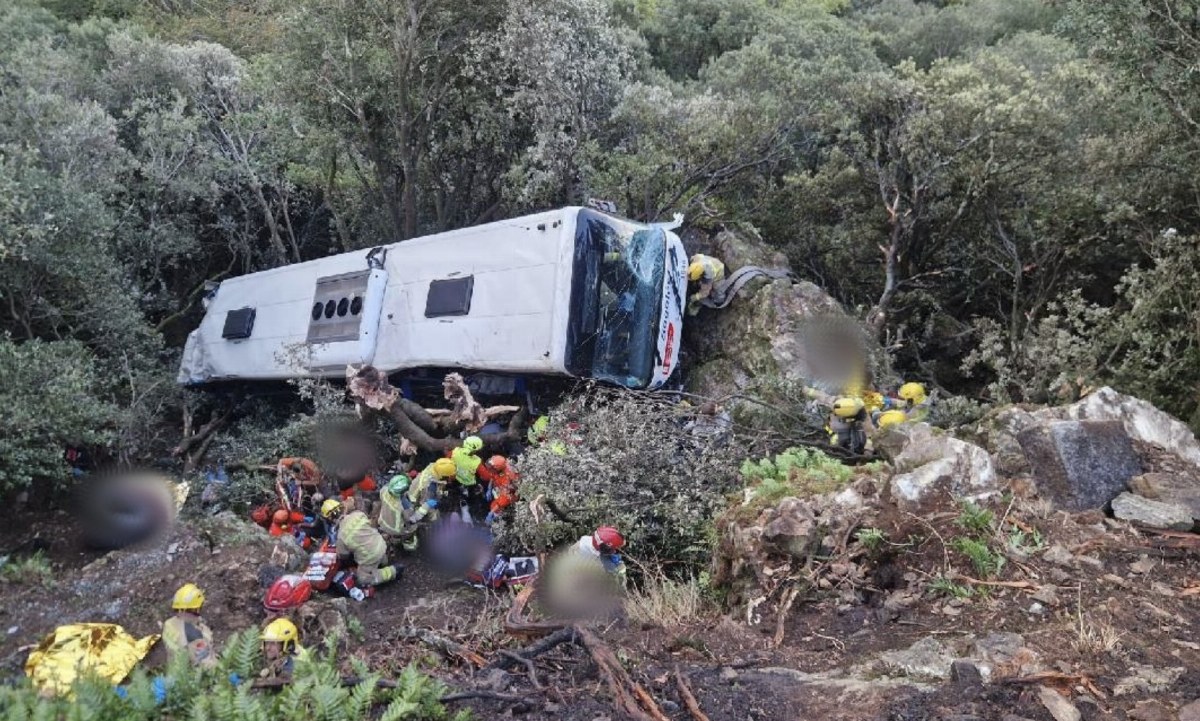 Bus Accident in Spain Injures 83, Seven Seriously — A bus plunged 20 meters in Catalonia, leaving 83 injured, including