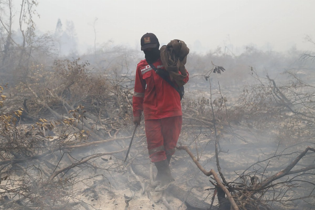 Wildfires in Indonesia Burn Nearly 2 Million Hectares This Year — Indonesia has seen approximately 1.9 million hectares